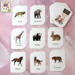 Kidkraft 32-Piece Animal Flash Cards Set