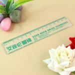 Premium Transparent Plastic Scale 15cm (1 Pc)