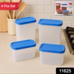 Apex Glory Plastic Storage Container Box Set (4 Pc) - Image 2