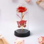 Elegant LED Eternal Rose in Plastic Dome (1 Pc / Battery Not included) - Image 4