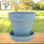 Heavy Plastic Flower pots With Tray (1 Pc) - Image 3
