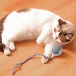 Rechargeable Interactive Cat Toy Ball with Detachable Braided Tail and LED Light (1 Pc) - Image 3