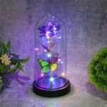 LED Preserved Rose with Colorful Butterfly in Plastic Dome (1 Pc & Mix Color) - Image 4