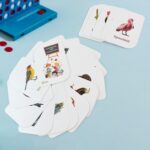 KidKraft Early Learner Educational Flashcards – 32 Birds - Image 7