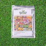 Seeds 20 Varieties of Flower Seeds Combo (1 Pkt / 20 Varieties) - Image 3