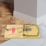 Wooden Mouse Rat Traps (1 Pc) - Image 5