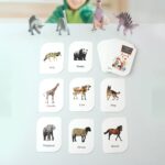 Kidkraft 32-Piece Animal Flash Cards Set - Image 6