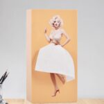 Plastic Creative Tissue Dispenser Box (1 Pc) - Image 6