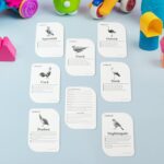 KidKraft Early Learner Educational Flashcards – 32 Birds - Image 3