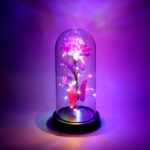 LED Decorative Rose with Butterfly in Transparent Plastic Dome (1 Pc / Battery Not Included) - Image 4