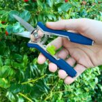 Precision Micro Garden Snip Pruning Scissor - Image 4