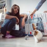 Rechargeable Interactive Cat Toy Ball with Detachable Braided Tail and LED Light (1 Pc) - Image 4