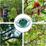 Outdoor Bird Feeder Hanging Plastic Hook (1 Pc) - Image 6