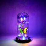 LED Preserved Rose with Colorful Butterfly in Plastic Dome (1 Pc & Mix Color) - Image 6