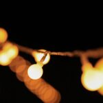 Battery Operated Warm White Globe Ball String Light - Image 3