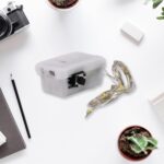 8 LED String Lights 3 Battery Operated (1 Pc / Battery Not Included) - Image 4