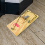 Wooden Mouse Rat Traps (1 Pc) - Image 6