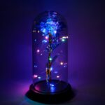 LED-Powered Eternal Rose in plastic Dome (1 Pc / Battery not Included) - Image 3