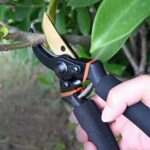 Heavy Duty Garden Pruning Shears (1 Pc) - Image 6