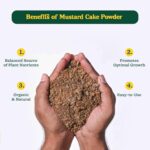Mustard Cake Fertilizer For Plants 900gm - Image 4