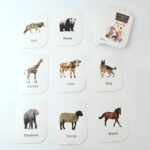 Kidkraft 32-Piece Animal Flash Cards Set - Image 5