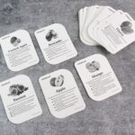 KidKraft Early Learner Educational Flashcards – 32 Birds - Image 3