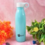 Stainless Steel Water Bottle (750 ML / 1 Pc) - Image 4