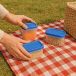 Apex Glory Plastic Storage Container Box Set (4 Pc) - Image 5