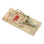 Wooden Mouse Rat Traps (1 Pc) - Image 4