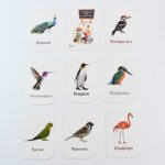 KidKraft Early Learner Educational Flashcards – 32 Birds - Image 5