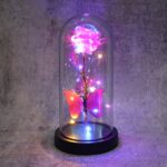LED Decorative Rose with Butterfly in Transparent Plastic Dome (1 Pc / Battery Not Included) - Image 7