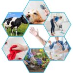 Disposable Plastic Gloves For Kitchen Food Handling (1 Pair) - Image 6