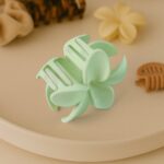 Matte Finish Hair Claw Clip (1 Pc / Mix Color) - Image 7