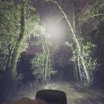 3W COB LED Work Light (1 Pc) - Image 3