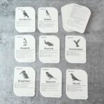 KidKraft Early Learner Educational Flashcards – 32 Birds - Image 6