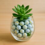 Classic Glass Marbles Pack of Approx 30 Pc - Image 4