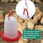 Automatic Chicken Drinker Chicken Feeder with Humanized Handle - Image 9