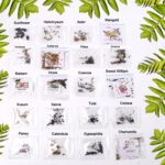 Seeds 20 Varieties of Flower Seeds Combo (1 Pkt / 20 Varieties)