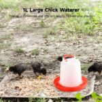 Automatic Chicken Drinker Chicken Feeder with Humanized Handle - Image 3