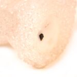 Cartoon Shape Crystal LED Night Light Lamp – Cute Glowing Animal Decorative Light (1 Pc) - Image 3