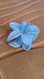 Matte Finish Hair Claw Clip (1 Pc / Mix Color) - Image 11