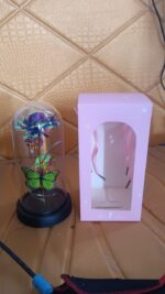 LED Preserved Rose with Colorful Butterfly in Plastic Dome (1 Pc & Mix Color) - Image 7