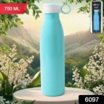 Stainless Steel Water Bottle (750 ML / 1 Pc) - Image 2