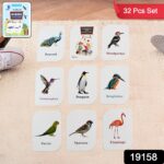 KidKraft Early Learner Educational Flashcards – 32 Birds - Image 2