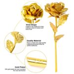 Golden Rose & Necklace Set Perfect Gift Set - Image 4