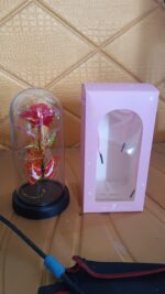 Elegant LED Eternal Rose in Plastic Dome (1 Pc / Battery Not included) - Image 7