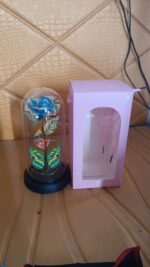 LED-Powered Eternal Rose in plastic Dome (1 Pc / Battery not Included) - Image 8