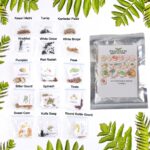15 Varieties of Vegetable Seeds Combo (1 Pkt. / 15 Varieties)